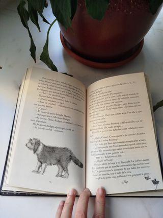 Libro "Los imaginarios"