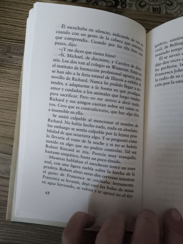 Los Puentes de Madison - Robert James Waller