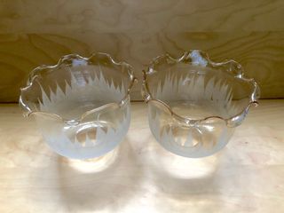 Coppia paralumi vetro sabbiato