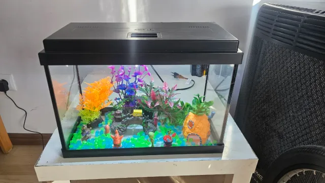 Pecera LED con accesorios