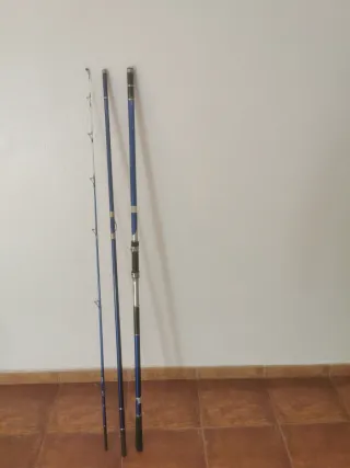 Caña de surfcasting 