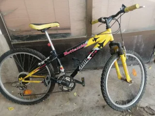 2 Bicicletas Montaña Bottecchia 488