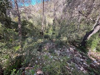 Solar en venta en Can Lloses - Can Marcer en Sant Pere de Ribes