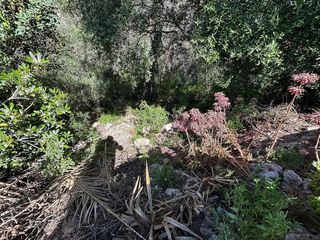 Solar en venta en Can Lloses - Can Marcer en Sant Pere de Ribes