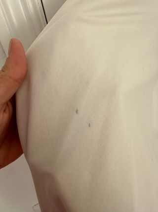 Gabardina Massimo Dutti Beige Mujer