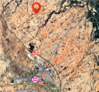 Terreno con almendros y olivos en Labor 2 ha