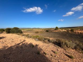 Terreno con almendros y olivos en Labor 2 ha