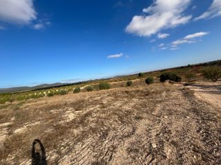 Terreno con almendros y olivos en Labor 2 ha