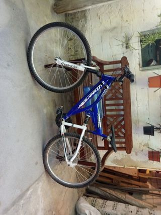Bicicleta MTB freerider