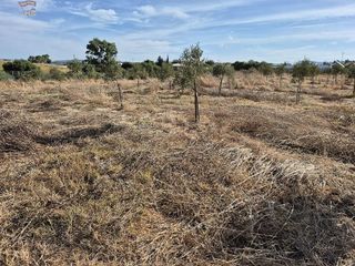 Casa rural en venta en Arcos de la Frontera