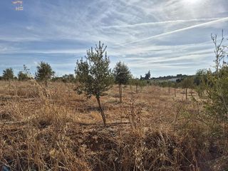 Casa rural en venta en Arcos de la Frontera