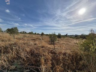 Casa rural en venta en Arcos de la Frontera