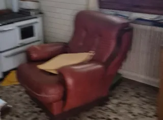 Poltrona in pelle marrone/rossa