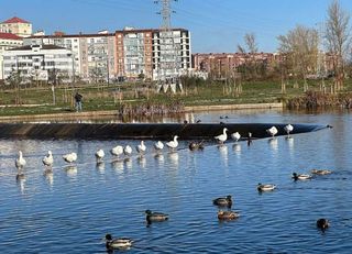 Piso en venta en Gamonal en Burgos