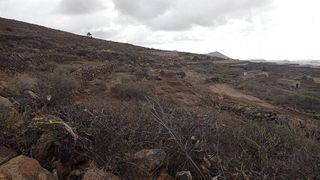 Terreno en venta en Tamaide-El Roque en San Miguel de Abona