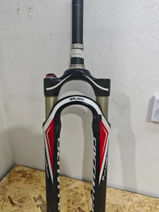 Rock Shox Reba RL Brain Fork