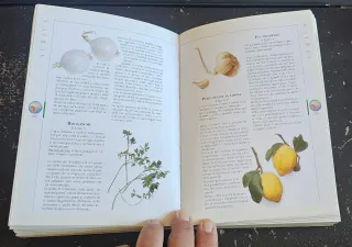 Ricettario del mondo. Sapori dal pianeta terra