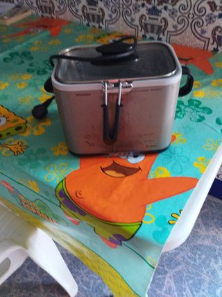 Freidora de aceite 1L