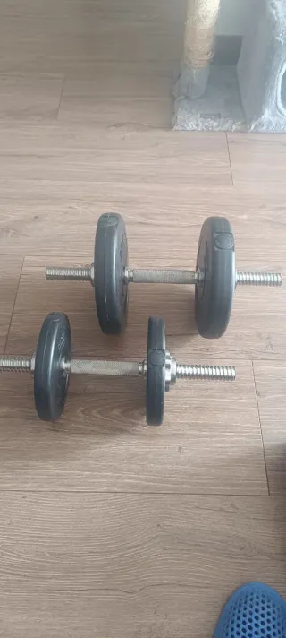 Mancuernas de gimnasio