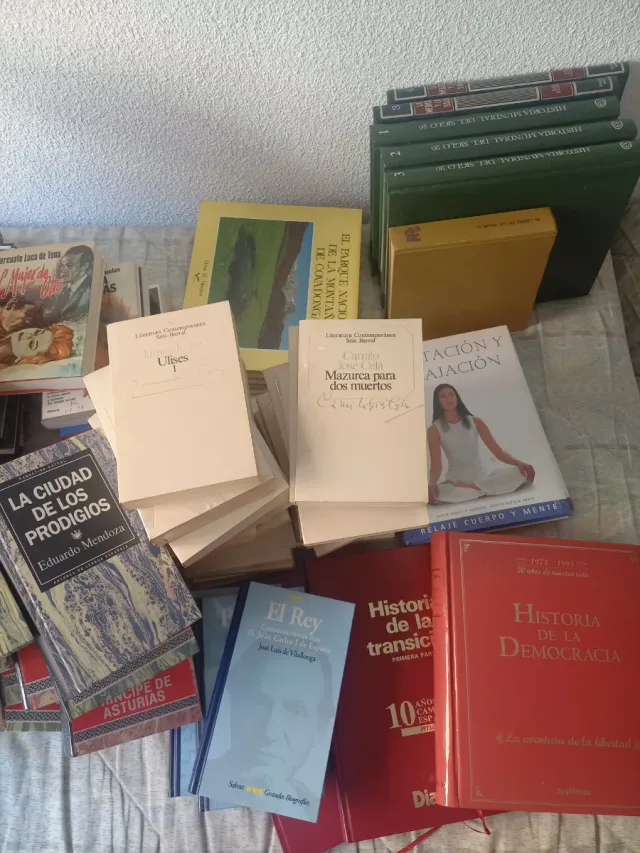 Lote de libros de varios autores y temáticas