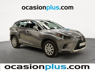 Lexus NX 300h Business 2WD 145 kW (197 CV)