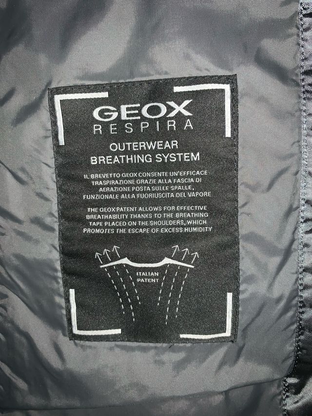 Plumífero Geox Gris