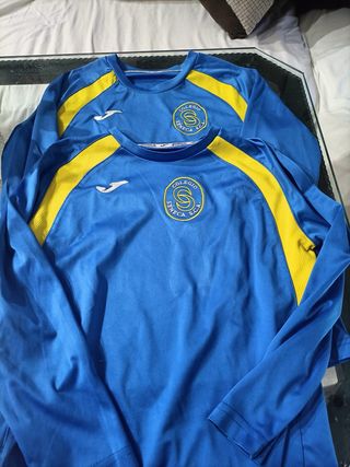 camisetas deporte colegio séneca