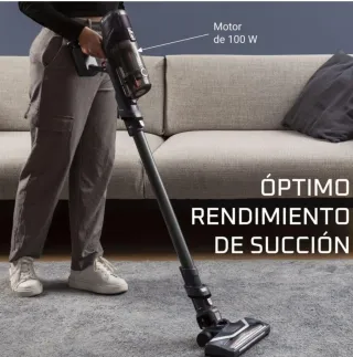 Rowenta XPert 6.60 Aspiradora Escoba