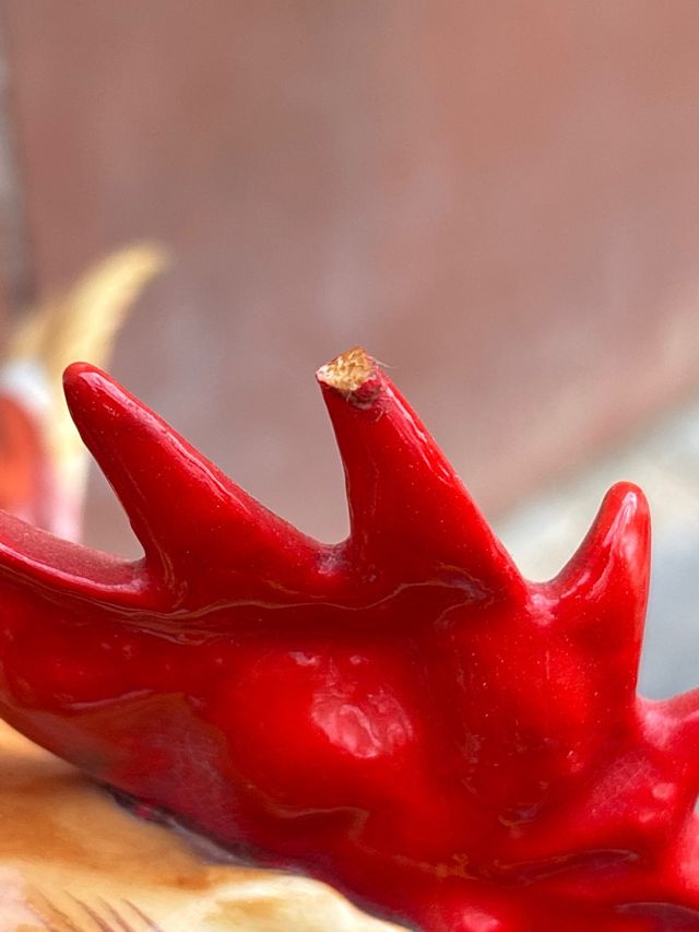 Pareja de gallos Algora