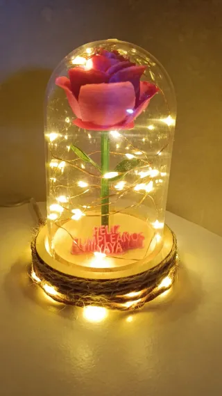 Rosa de la Bella y la Bestia con luces