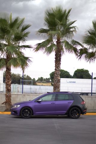 Golf 7 R 2019