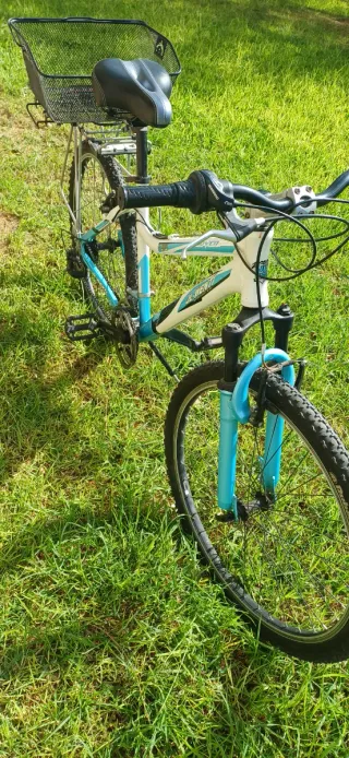 Bicicleta de montaña blanca y azul