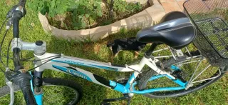 Bicicleta de montaña blanca y azul