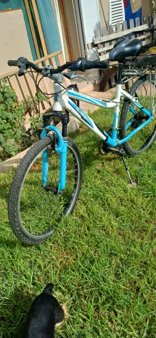 Bicicleta de montaña blanca y azul