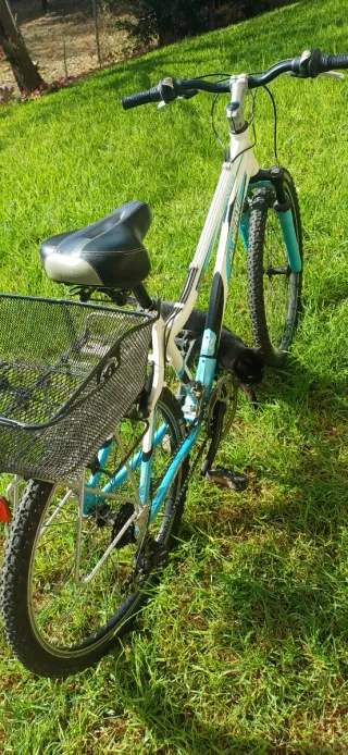 Bicicleta de montaña blanca y azul