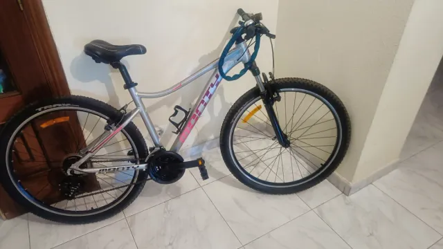 Bicicleta Monty plateada