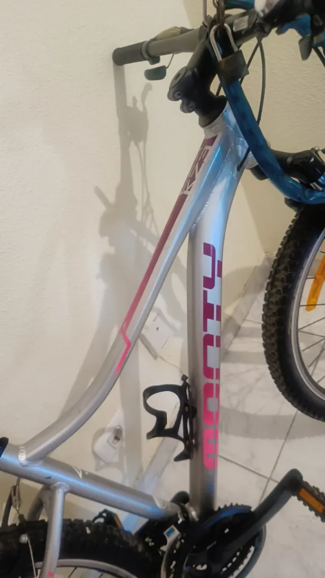 Bicicleta Monty plateada