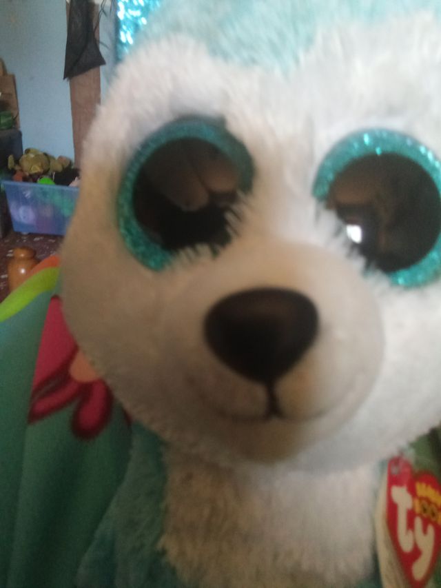 Peluche cane blu morbido per bambini