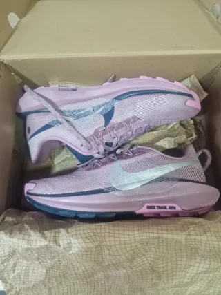 Zapatillas Nike Trail Running Mujer Rosa Plata