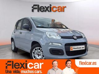 Fiat Panda Panda Hybrid 1.0 Gse 51kw (70CV)