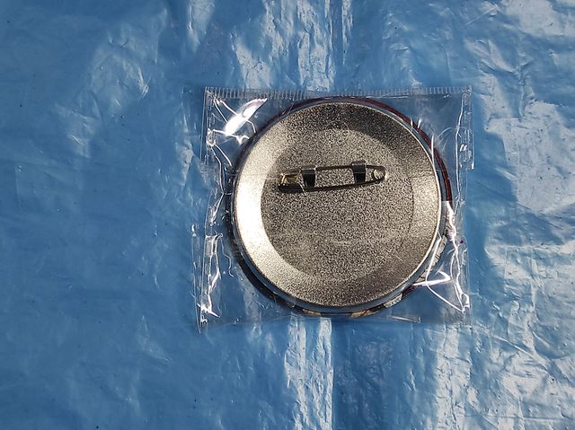 Liney Spilletta Genshin Impact Button Badge