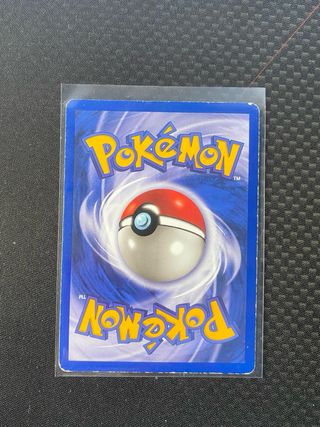 Pinsir jungla holo Italiano Carta Pokémon