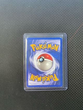 Pinsir jungla holo Italiano Carta Pokémon