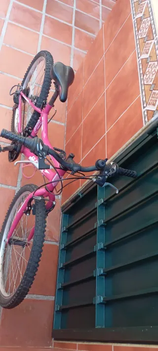 Bicicleta rosa niña