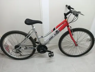 Bicicleta Globe Trotter Roja y Plata