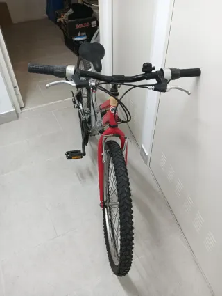 Bicicleta Globe Trotter Roja y Plata