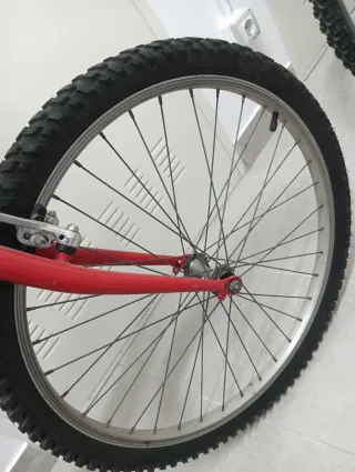 Bicicleta Globe Trotter Roja y Plata
