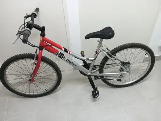 Bicicleta Globe Trotter Roja y Plata