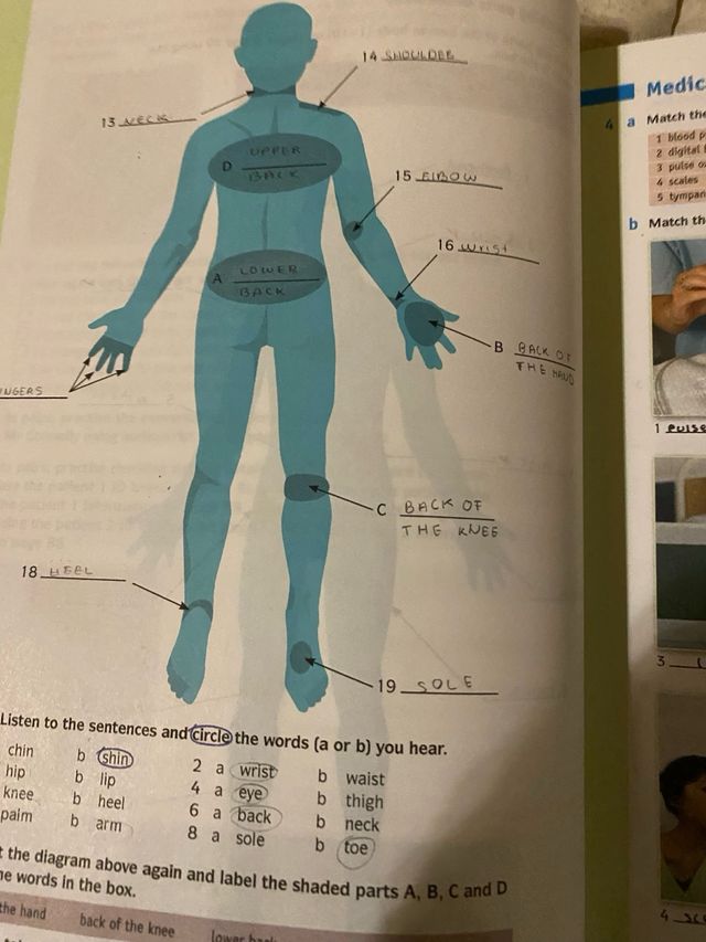 Cambridge English for Nursing Pre-intermediate ...