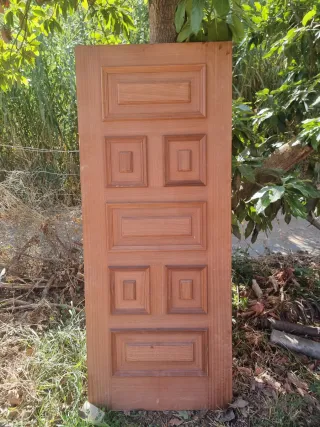  Dos Puertas de madera con paneles blindadas 